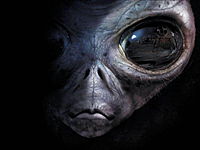 Photo de profil: ProgonNorm