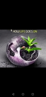 Image from user/small
