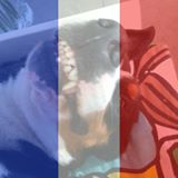 Photo de profil: William
